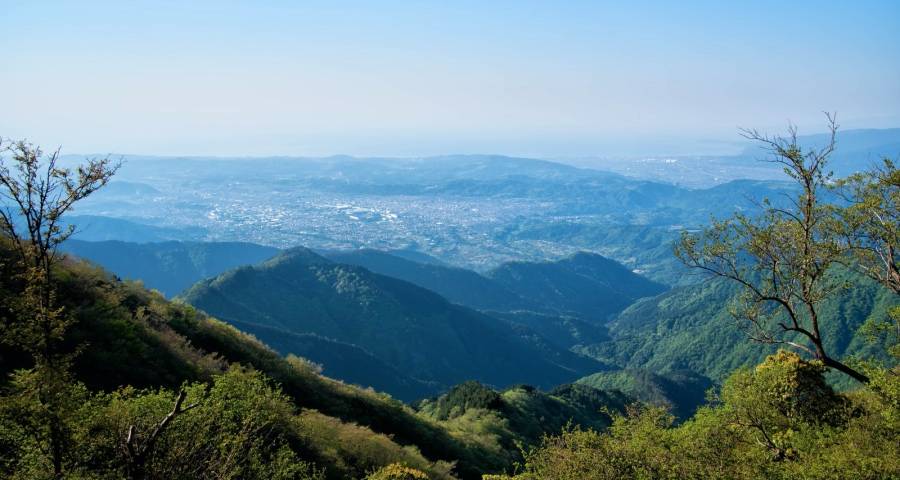 家电企业何时能不拼低价拼技术？-家电圈官网