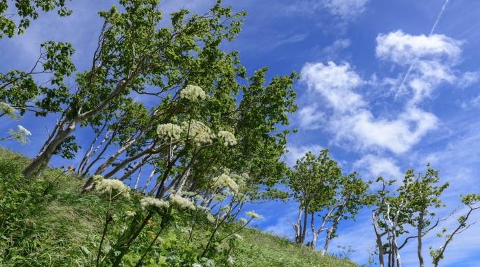 面对长期的事业，家电人不能总想着短期投机制胜？-家电圈官网