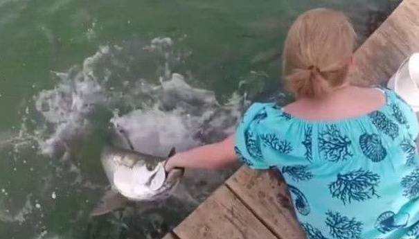 未知生物实拍 6549ecadc2134587b00b481e5b20c8a8.jpeg