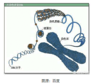 干货:染色质相关研究