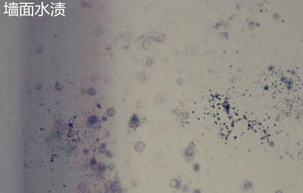 382e37601a18450c814ef7de5d6b4d60.jpeg