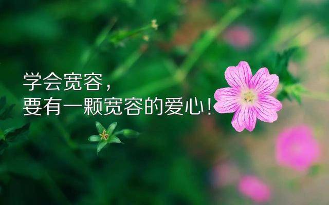 怎么才能做自己想做的 5af1ddb22cb342a19ec402e772deb5da.jpeg