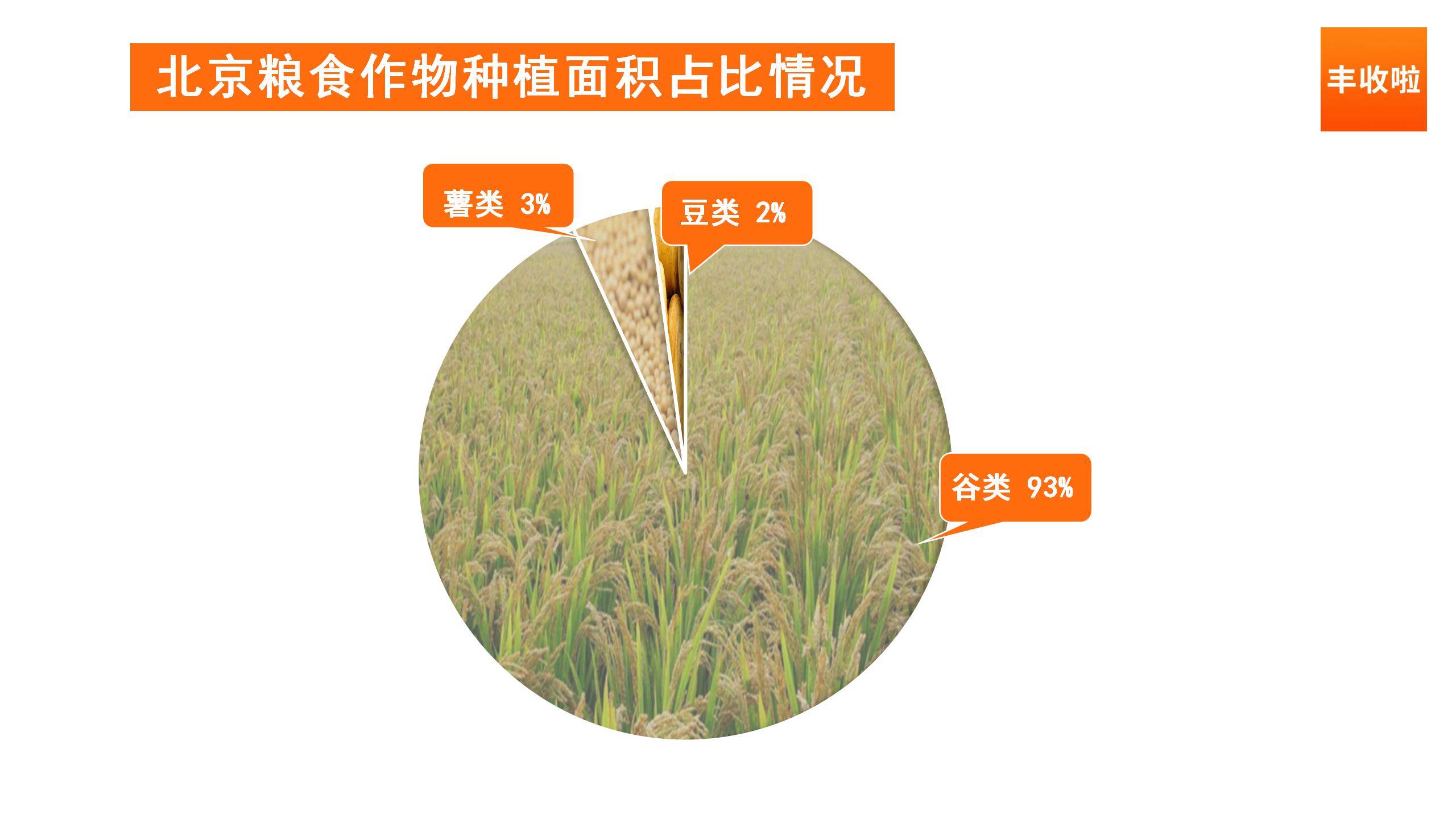 人口粮食比(2)