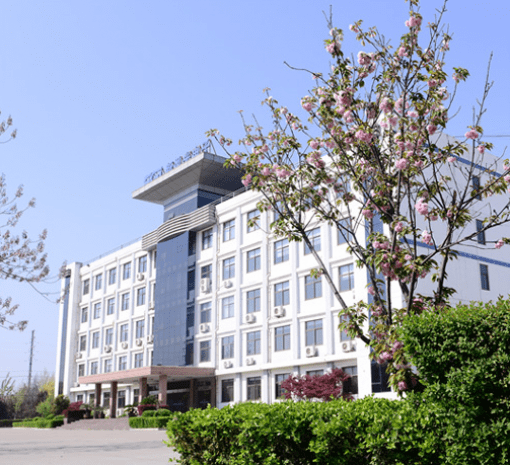 新风光投标数量和中标数量数据异常 能源管理成