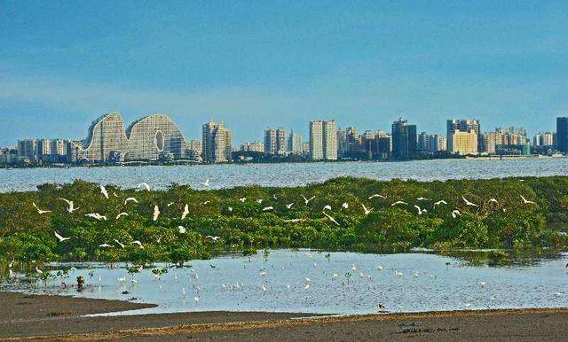 2020广西gdp城市排行_广西真龙香烟排行