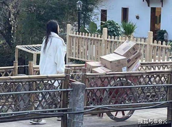 "富婆"伊能静晒900件快递盒,豪宅门口堆满垃圾
