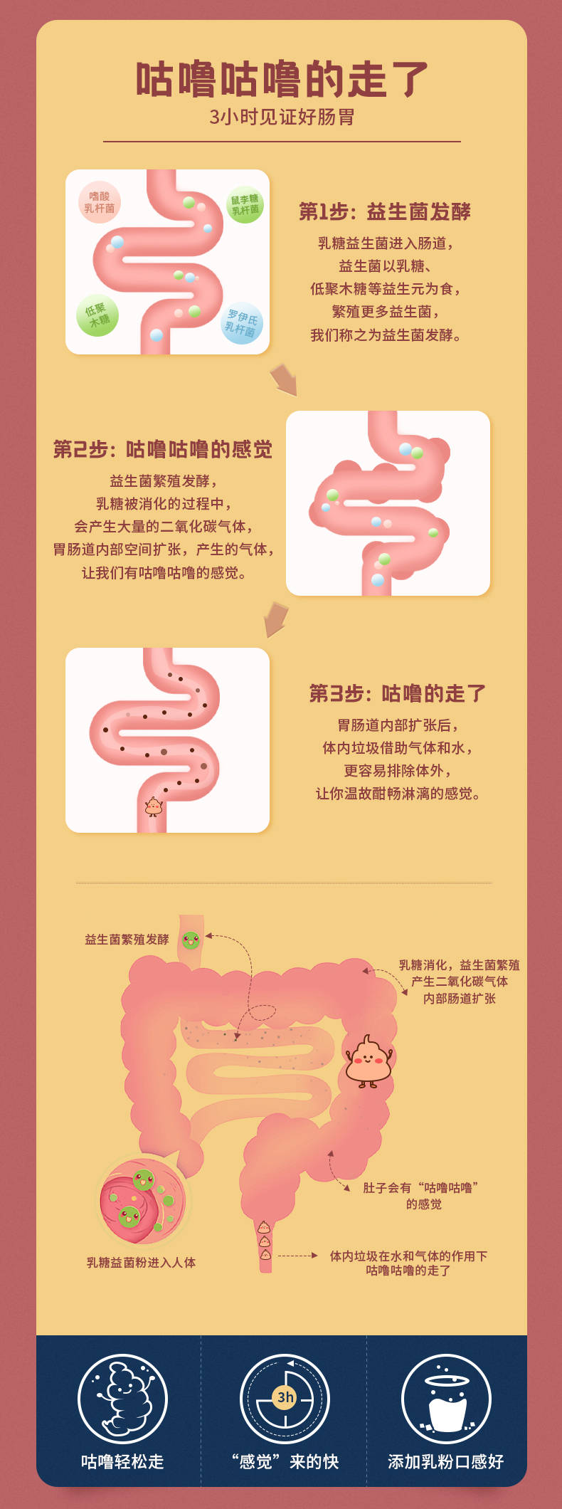 轻妃提醒:便秘是这4个原因在作怪,理清病因,更好治愈便秘