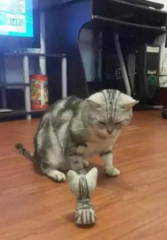 0678b0a5f07143cf86f0f4c36af6320b.jpeg