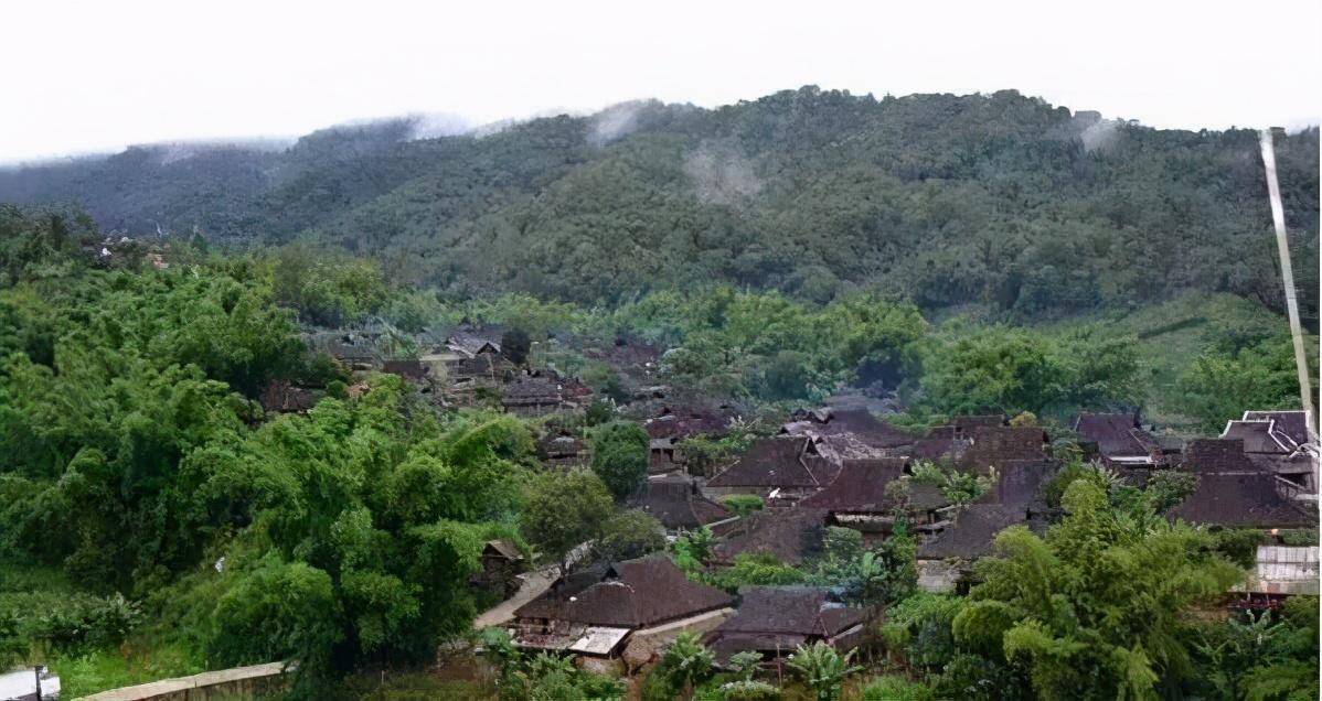 普洱茶茶山(山寨)冰岛,班章,班盆,老曼峨有哪些不同之处?