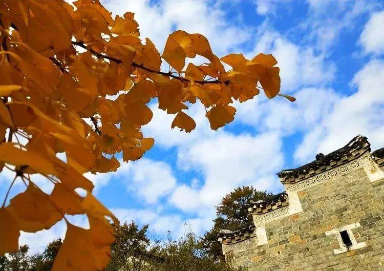 罗田县九资河镇gdp_罗田县九资河镇地图(2)