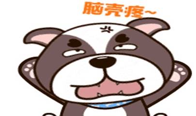 吃啥能补脑子 bbbb3fbf79cc4884a6dda39b3b23f765.jpeg