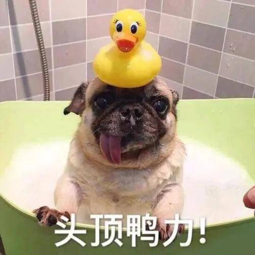 811a9dabd14d4e1a918dd2639301e7c1.jpeg