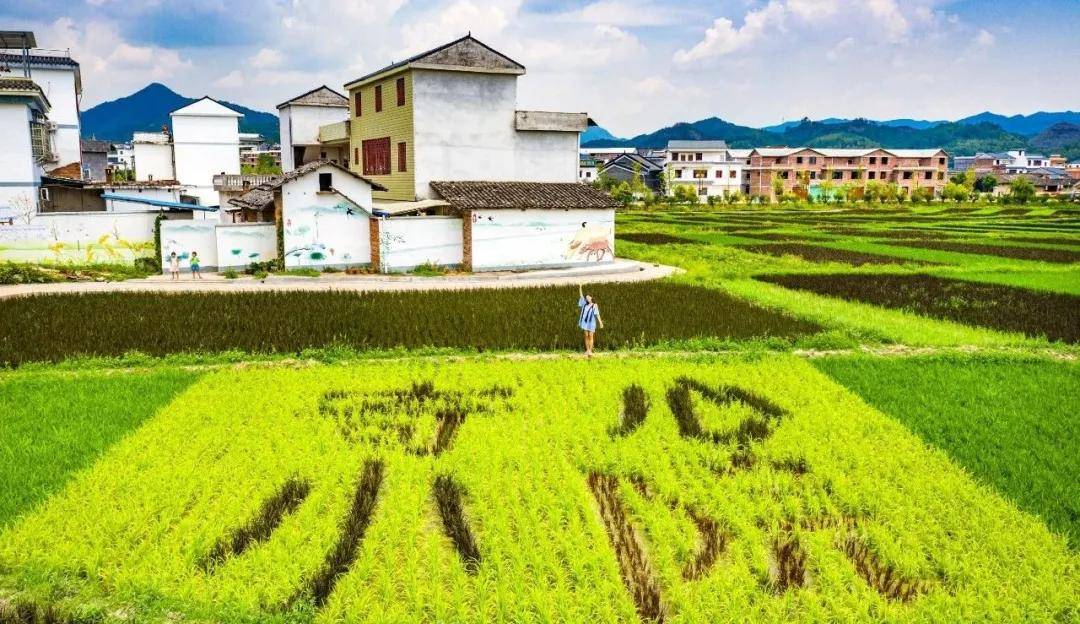 在韶关南雄市珠玑镇灵潭村,一座竹篱围绕的乡间小院门扉轻掩,静待叩声