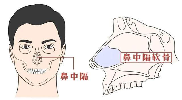 成语鼻高什么_什么高镜明的成语(3)
