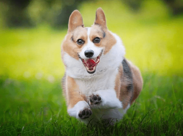 854591f4673e4b57afc99692a3890f5a.png