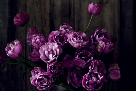 2020年星座桃花排名_2021年桃花运最好的星座排名