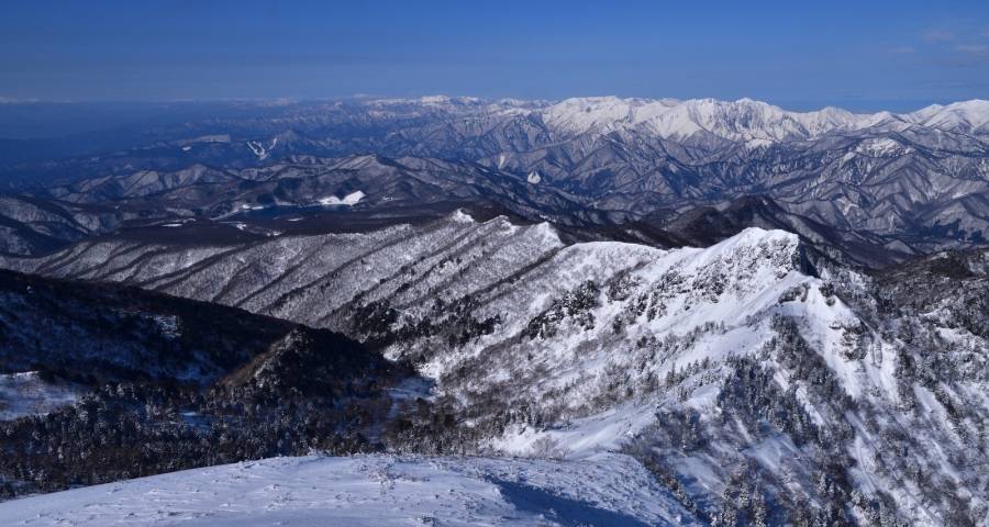 互联网家电品牌隐藏的小套路与大计谋-家电圈官网
