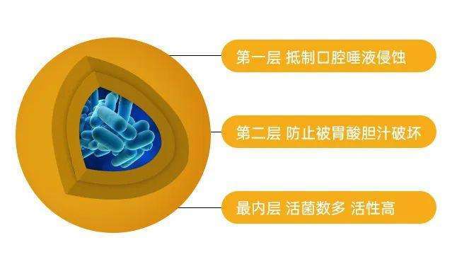 益生菌微胶囊包埋技术应用价值,益生菌为什么需要包埋技术