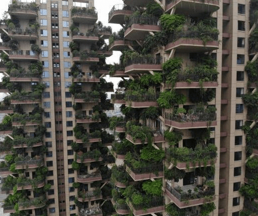 311f0b64c1c74238b7124b96c11d78da.png