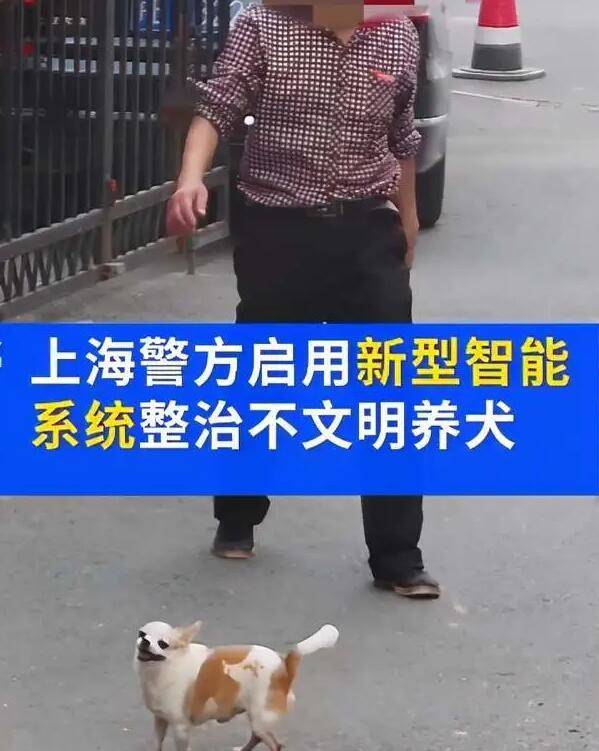 上海不牵绳遛狗将被抓拍处罚进一步净化本区养犬环境