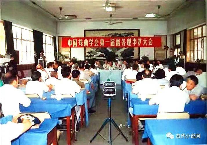 吴敢|吴敢：中国戏曲学会第一届常务理事扩大会