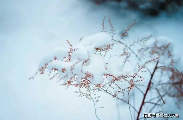 小雪:有冬要来,有雪如诗