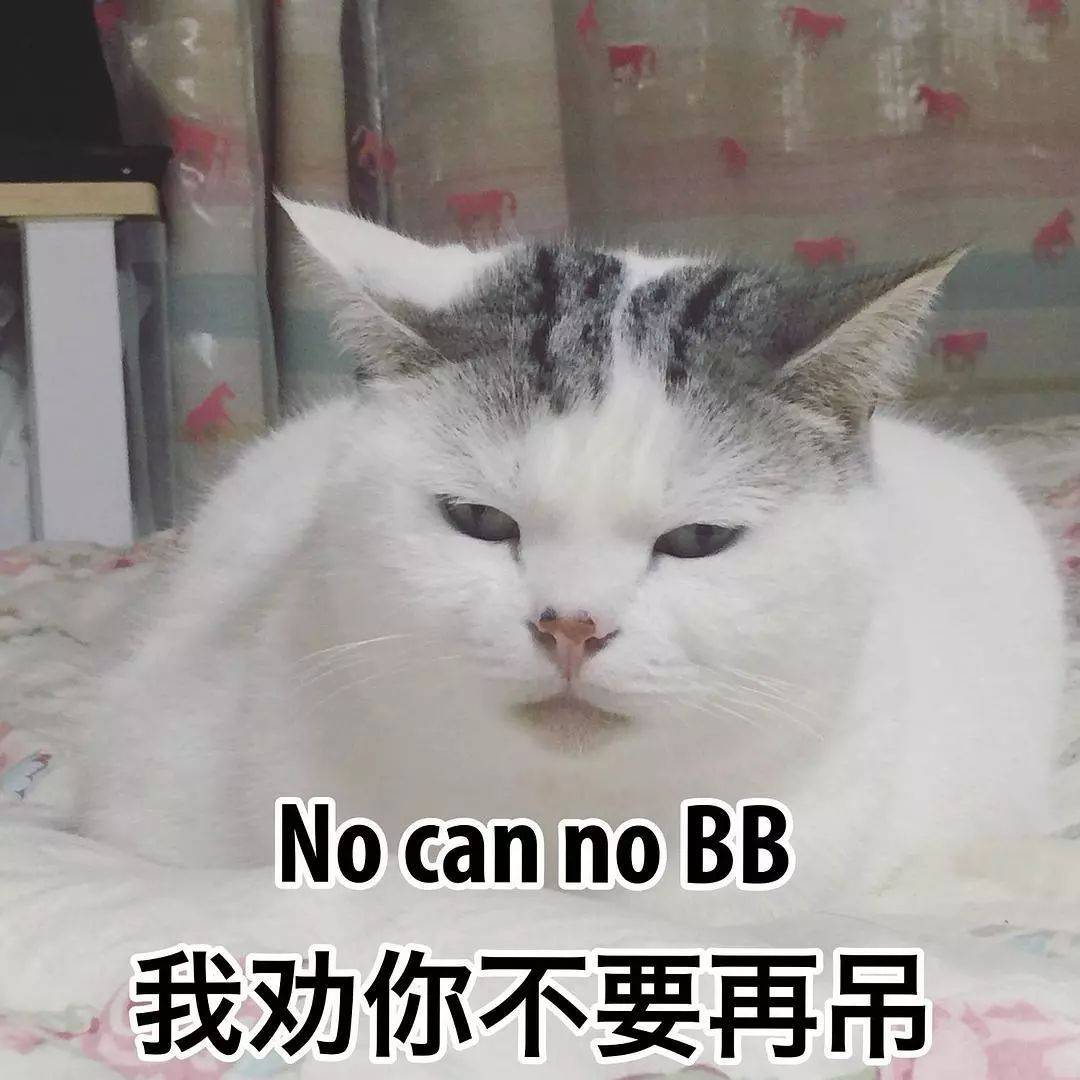 猫咪表情包合集你的小可爱已提刀在来的路上