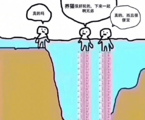 原创
听说喵喜欢猫薄荷,不知道这是不是!