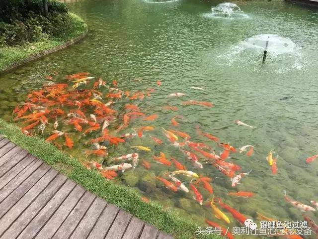 c30a9e675e1d47d08a9d95d4f86efd4a.jpeg
