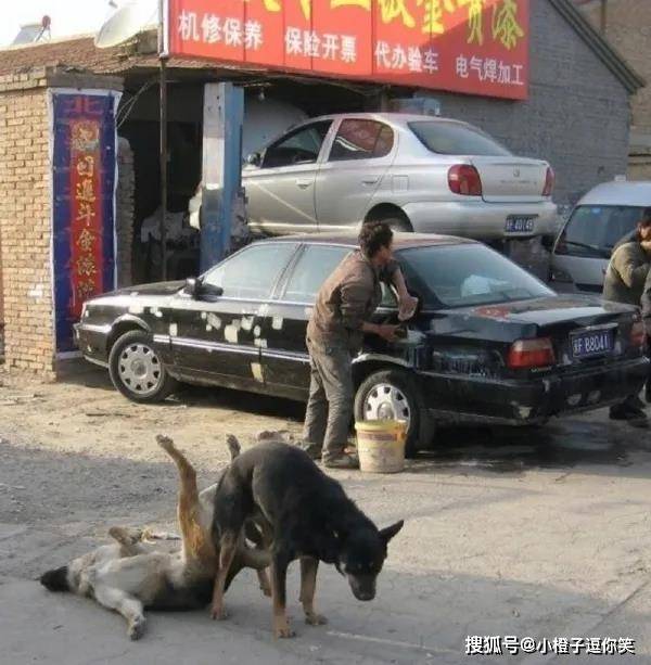 爆笑圖片：一個選厚薄，一個選花紋？ 搞笑整蠱 第4张