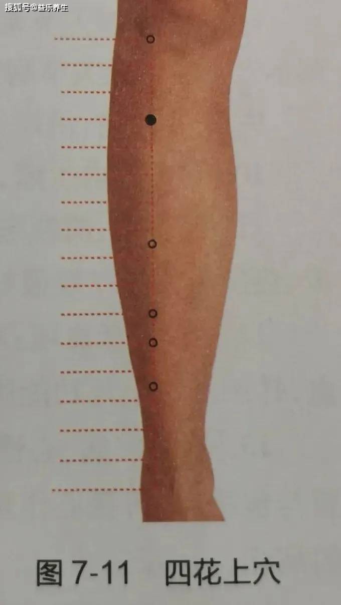 史继霞董氏奇穴七七部位四花上穴