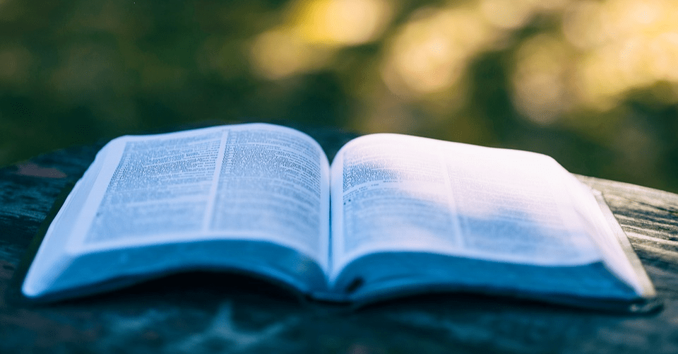 2020年高考录取排名_最高434、最低397入围!浙大2020年高考、三位一体录取(2)