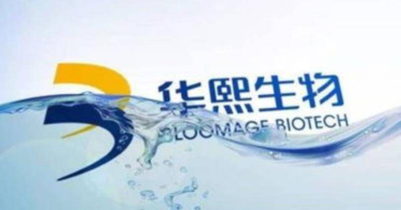 成语肤什么股票_成语故事简笔画(2)