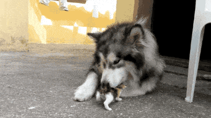 原创搞笑gif段子要是贞子都长这样来一个我收一个