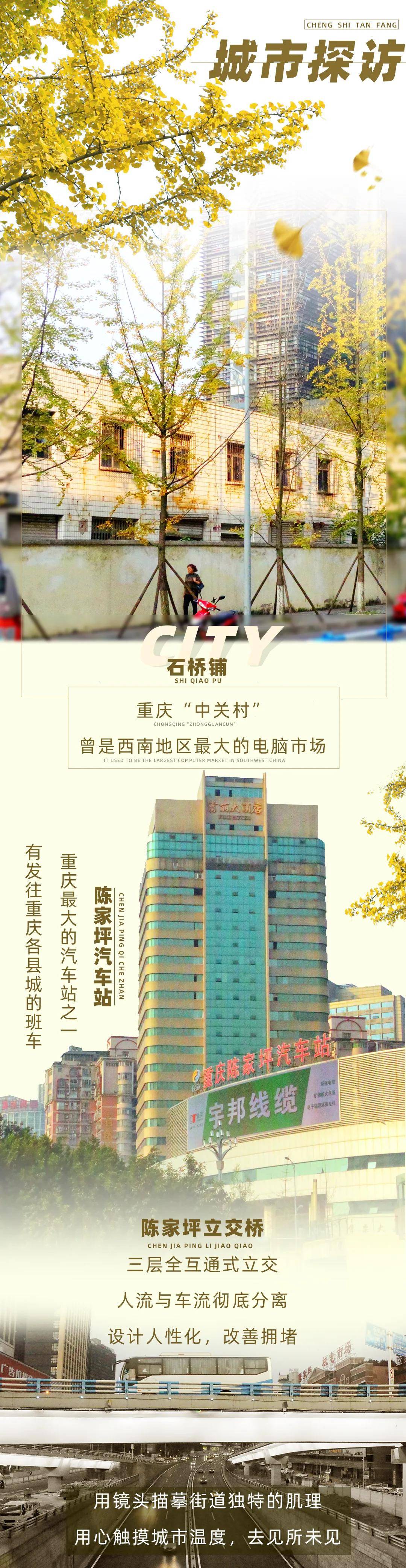 陈家坪的22年城市边缘地带的蝶变