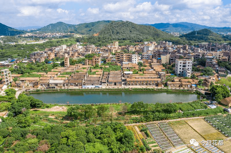 【喜报】600年古村港头,将打造广州乡村振兴示范村!