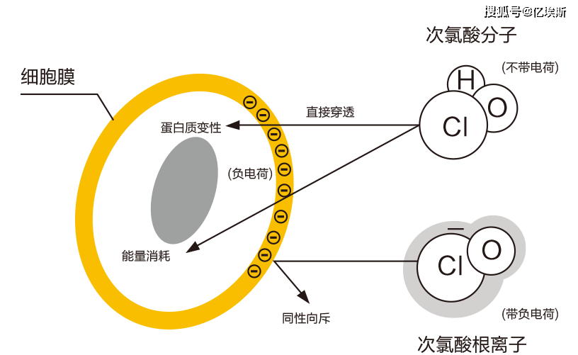 gdp对人体的危害_江苏盐城2019年上半年GDP出炉,省内排名多少(3)