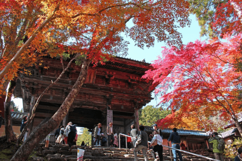 西明寺