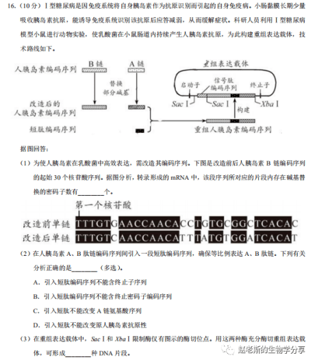 J系基因人口_传承红色基因手抄报