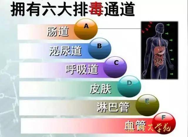 经常听人说排毒排毒,你真的知道毒是怎么回事?排 毒又