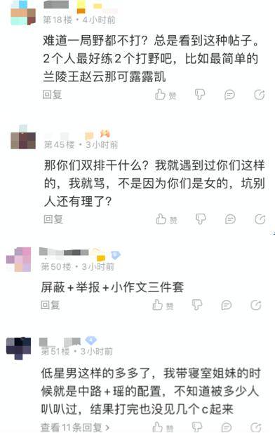 玩家|王者荣耀玩家双排预定中辅，被队友喷自闭，不会打野不配玩？