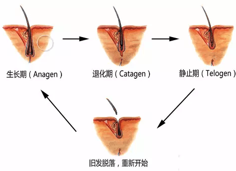 e797217b079a4c7da83ca1815014287e.png