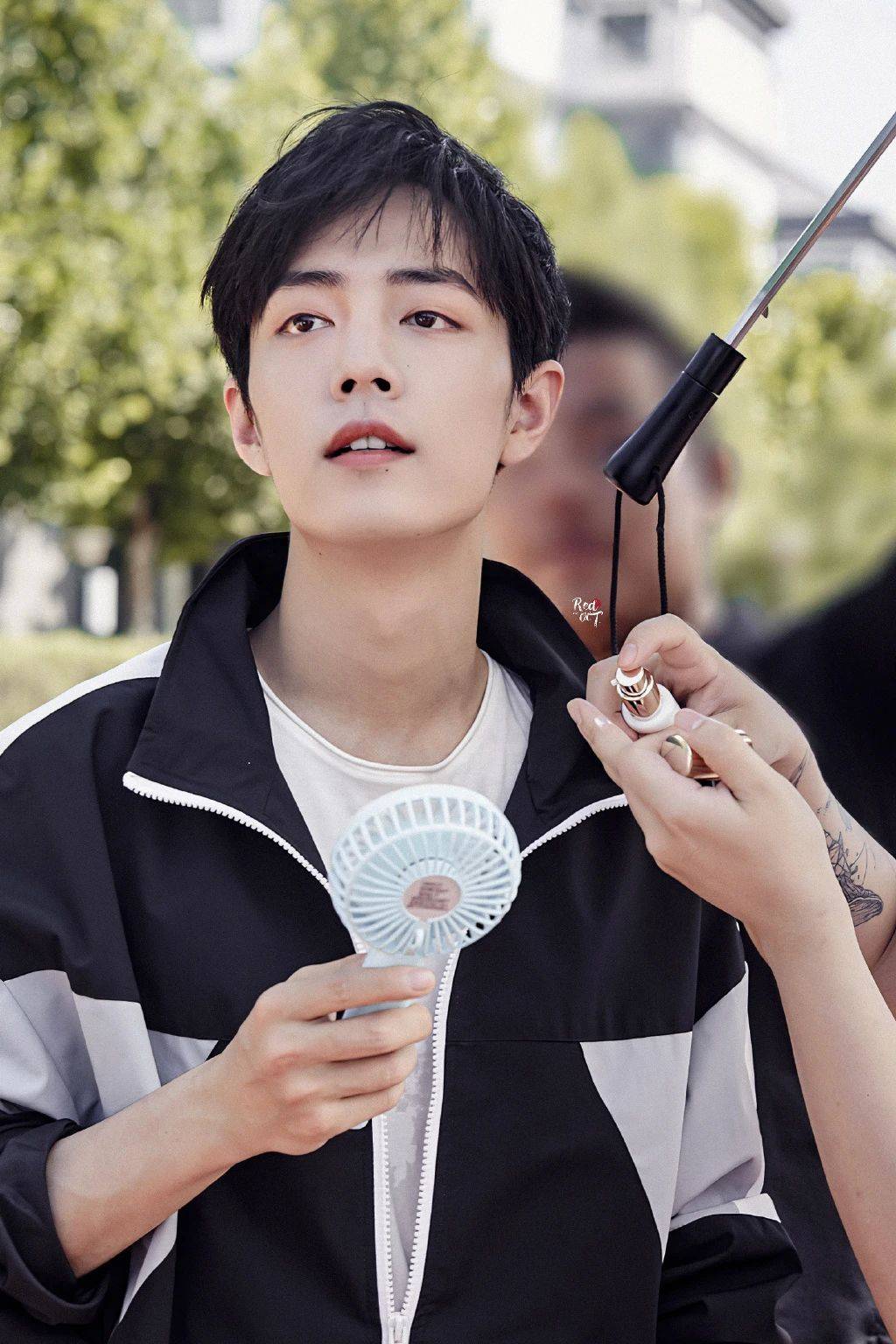 肖战颜值 来自搜狐网