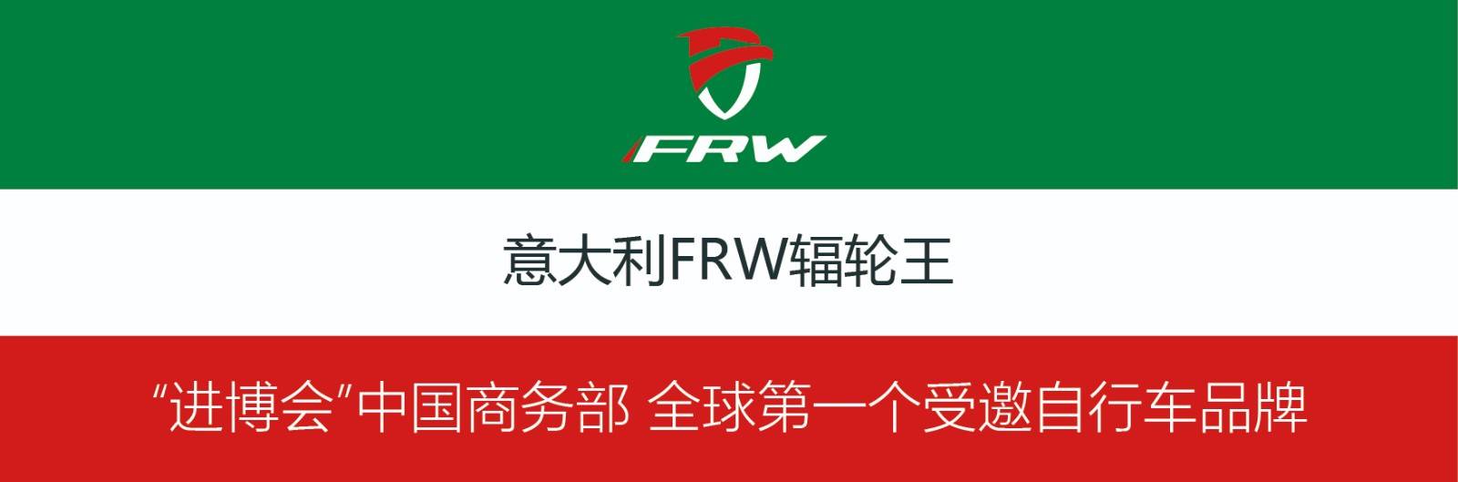 国际休闲品牌排行_2020上海进博会全球第一户外骑行自行车品牌排行榜辐轮王劲爆