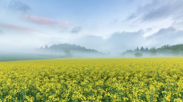 打动兴趣消费圈层的几要几不要，家电企业真能做到吗？-家电圈官网