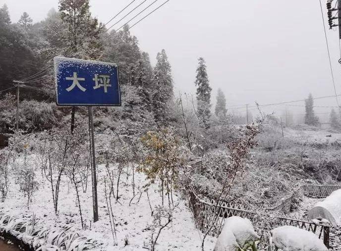 沿河县大坪村