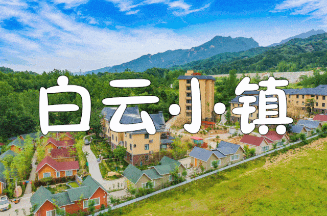 嵩县人口有多少_嵩县白云山