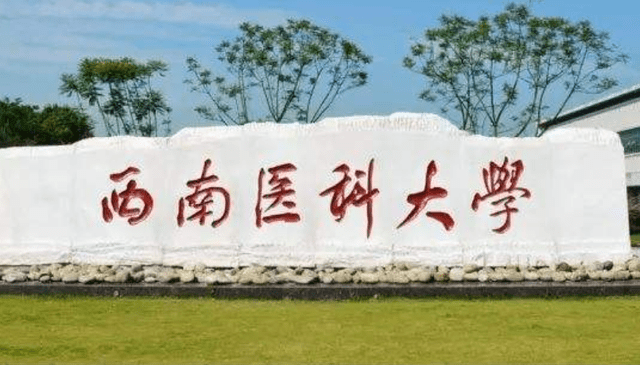 什么叫211大专 753f0e3dcdeb40a795f161afe72d1490.png