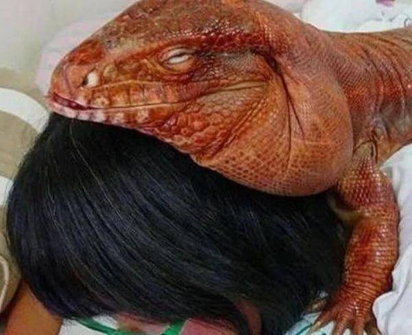 迷迷糊糊睡着了好像又没睡着 e6439457f6a24edd950921246bc5ddde.jpeg