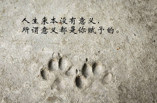 犹太人口少_小犹太周慧敏图片(3)
